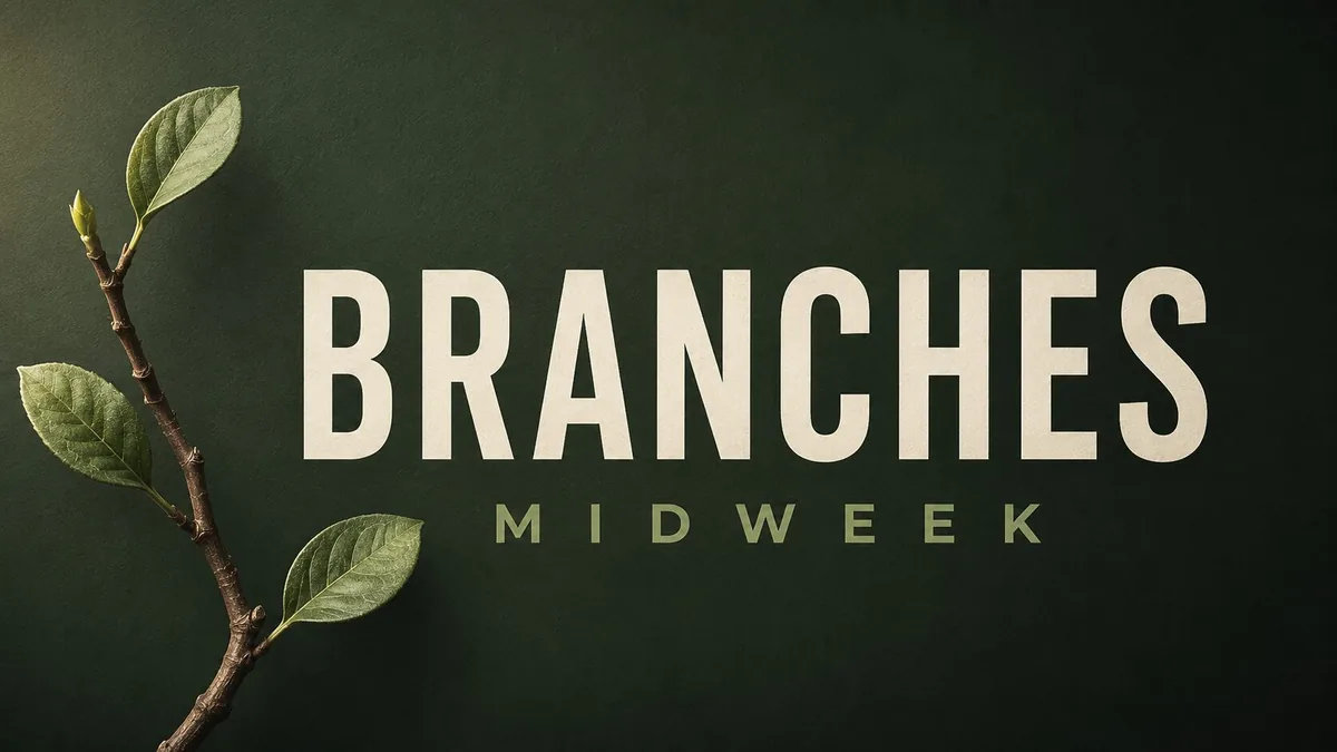 Kids on a Wednesday night at Branches Kids
